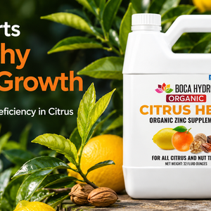 Boca Hydro Organic Citrus Heal Zinc Supplement for all Citrus and Nut Trees. 20% Zinc + Seaweed Amino Acid Plant Growth Enhancer