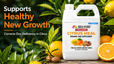 Boca Hydro Organic Citrus Heal Zinc Supplement for all Citrus and Nut Trees. 20% Zinc + Seaweed Amino Acid Plant Growth Enhancer