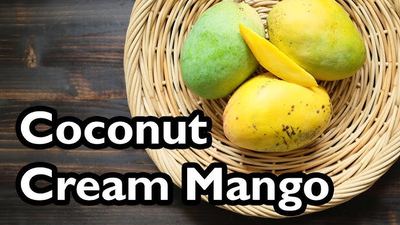 Boca Hydro Grafted Coconut Cream Mango Tree Patented Variety