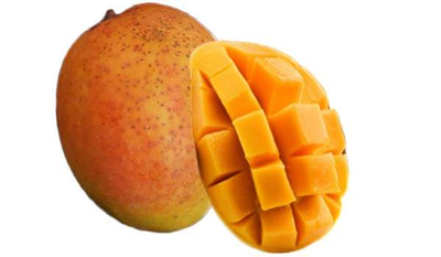 Boca Hydro Grafted Cotton Candy Mango Tree