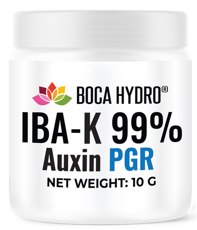 Boca Hydro IBA-K 99% Water-Soluble Rooting Hormone for Tissue Culture & Micropropagation – Indole-3-Butyric Acid Potassium Salt for MS Media, Liquid Culture & Precision Stock Solutions