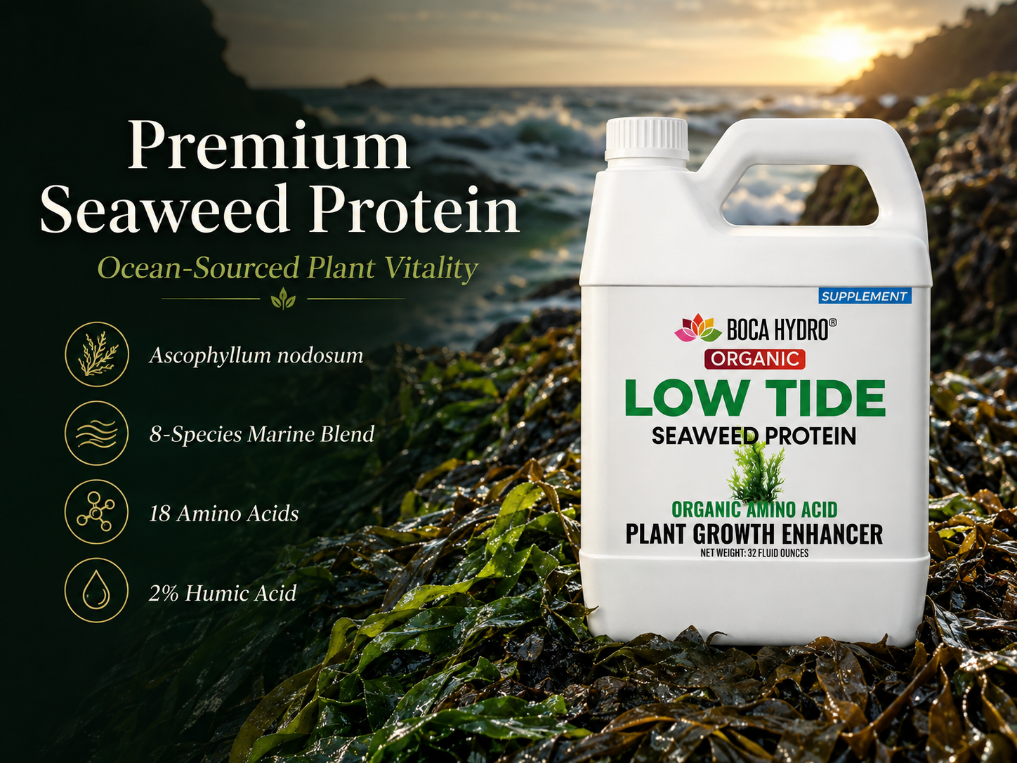 Boca Hydro Low Tide Liquid Seaweed Extract – Organic Ascophyllum Nodosum Kelp Fertilizer | Natural Plant Growth Booster with Amino Acids, Humic Acid, Vitamins & Trace Minerals for Stronger Roots, Leaves & Blooms