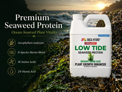 Boca Hydro Low Tide Liquid Seaweed Extract – Organic Ascophyllum Nodosum Kelp Fertilizer | Natural Plant Growth Booster with Amino Acids, Humic Acid, Vitamins & Trace Minerals for Stronger Roots, Leaves & Blooms