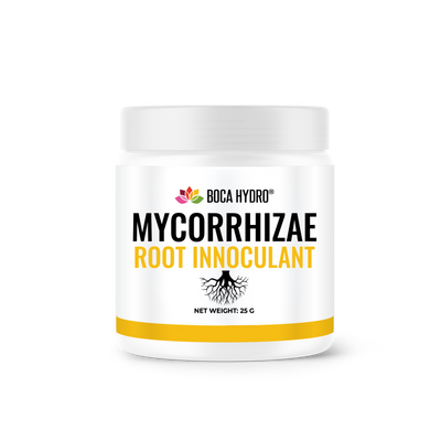 Boca Hydro Mycorrhizae – Ultra Pure Endomycorrhizal Root Inoculant – 1200 Spores per Gram – 6 Year Shelf Life – Spore-Based Concentrate for Stronger Roots, Bigger Yields & Stress Resistance – Approved for Gardens, Hydroponics & Fruit Trees