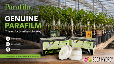 GENUINE Parafilm Nursery Grafting Tape 1" inch x 30 yds ( 90 Feet ) 1080"