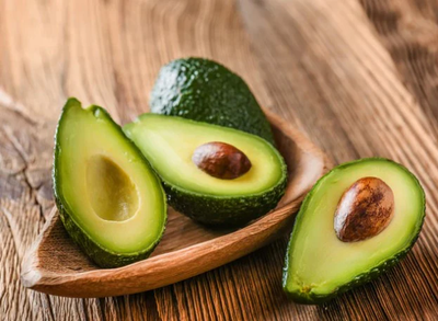 Boca Hydro Grafted Winter Mexican Avocado Tree